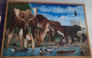 グロスモーン国立公園　ビジターセンターで飾ってあったこの地の動物の絵画