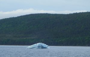 ニューファンドランド島で見た氷山