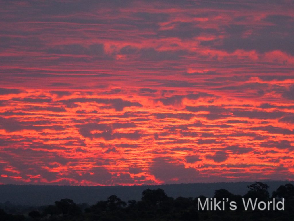 タンザニアの朝日が照らす雲