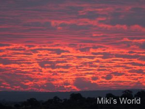 タンザニアの朝日が照らす雲