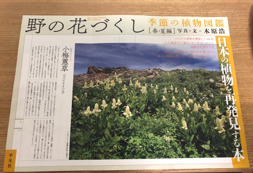 野の花づくし 季節の植物図鑑 春 夏編 写真 文 木原浩さん 19年2月日に刊行 みきと行こう