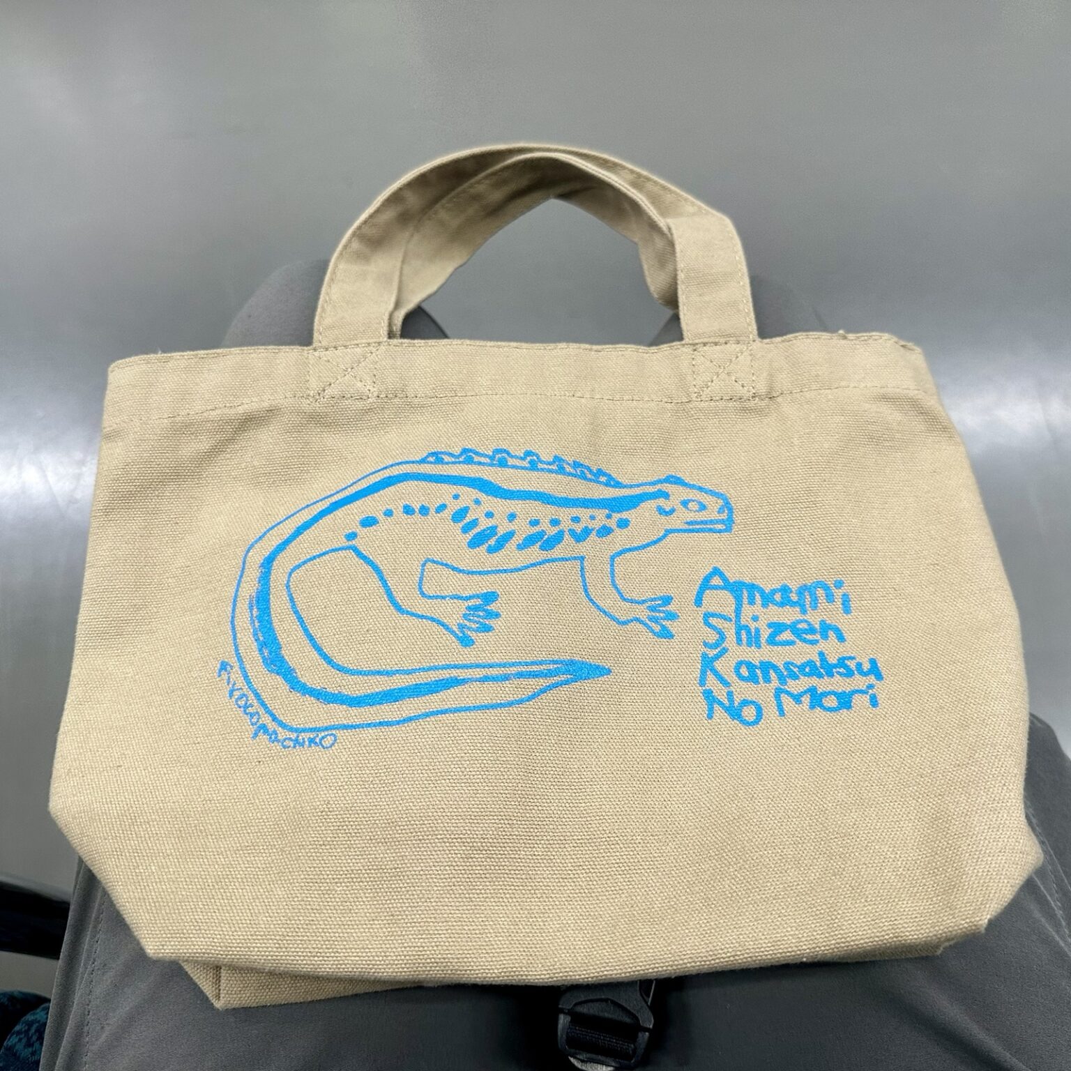 奄美群島国立公園ビジターセンター 奄美自然観察の森 みきとあそぼう